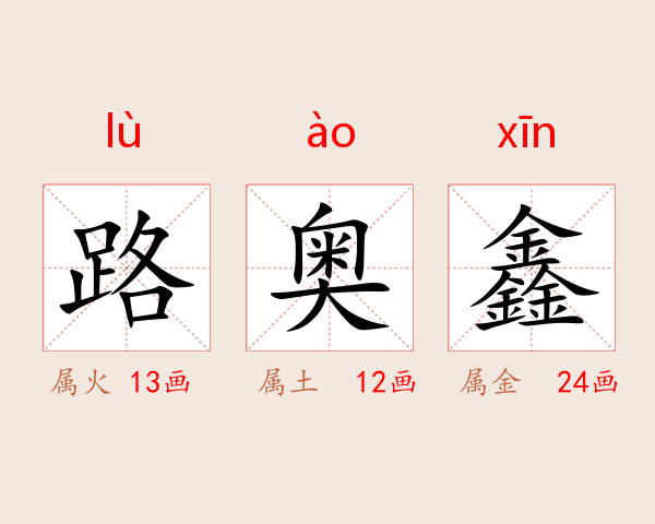 路奥鑫