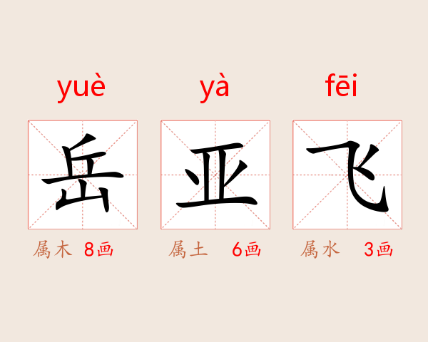 岳亚飞