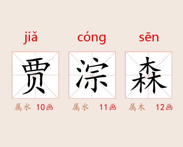 贾淙森