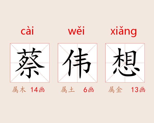 蔡伟想