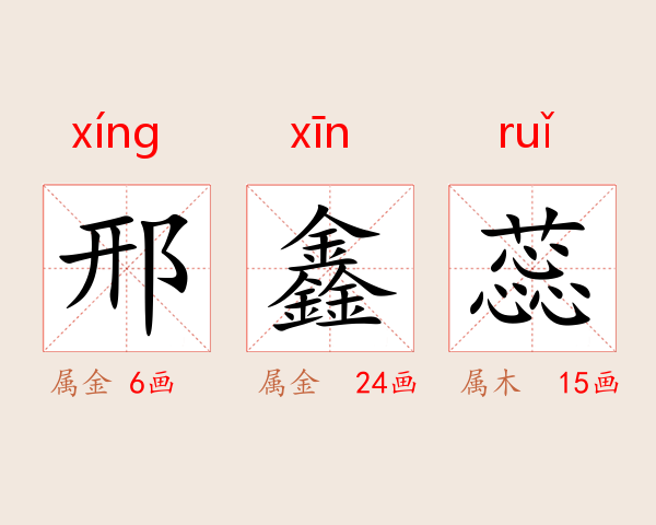 邢鑫蕊