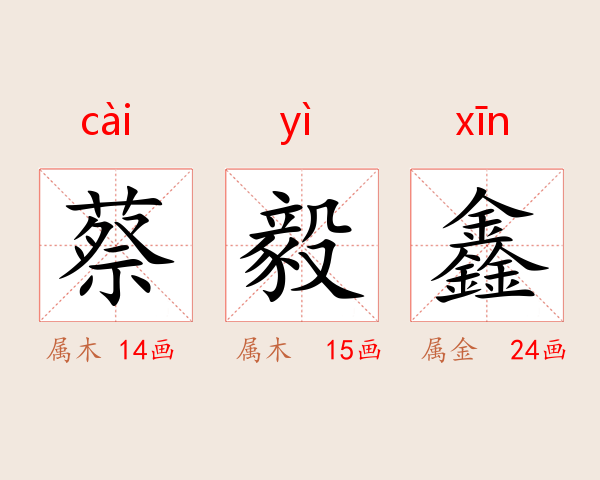 蔡毅鑫
