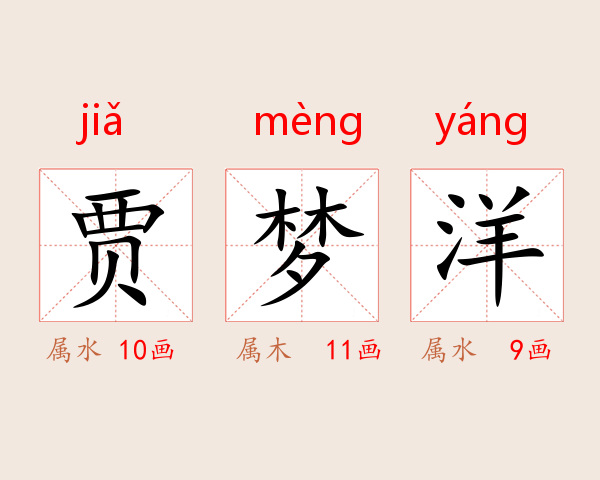 贾梦洋