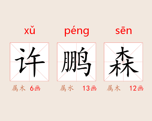 许鹏森