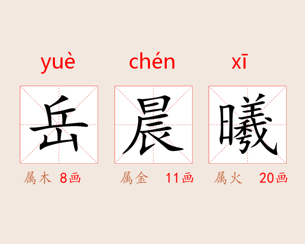 岳晨曦