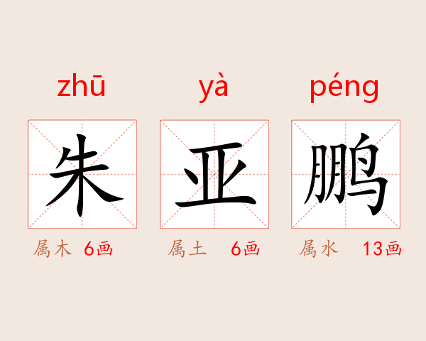 朱亚鹏