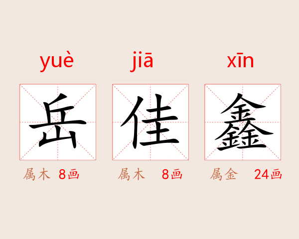 岳佳鑫