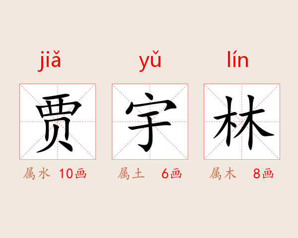 贾宇林