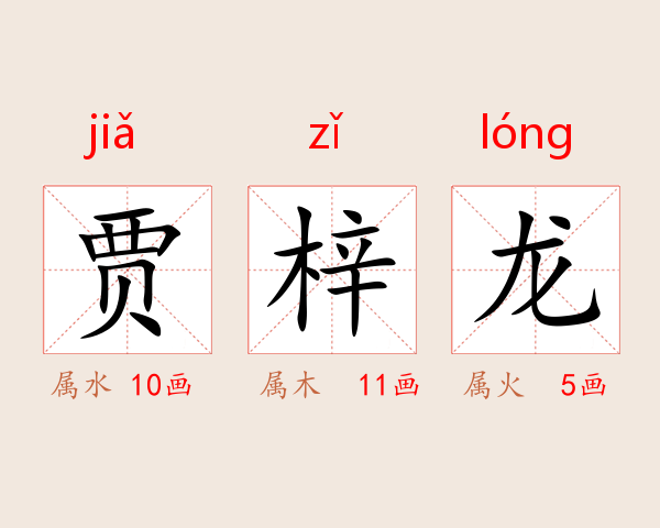 贾梓龙