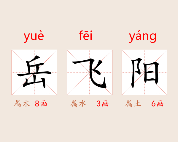 岳飞阳