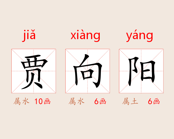 贾向阳