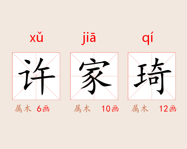 许家琦