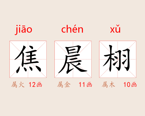 焦晨栩