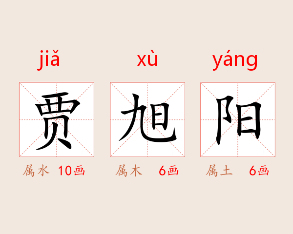 贾旭阳