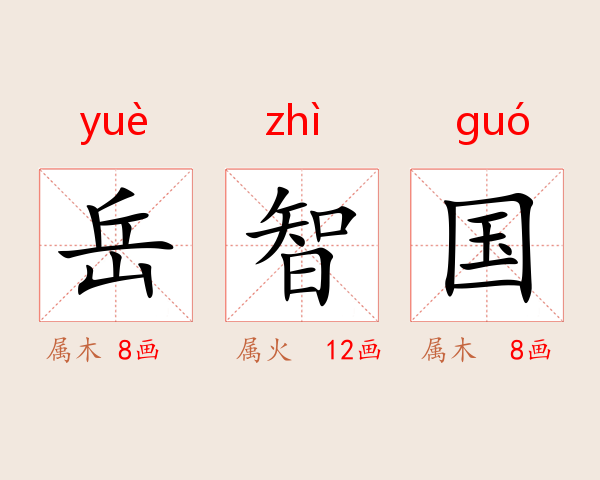 岳智国