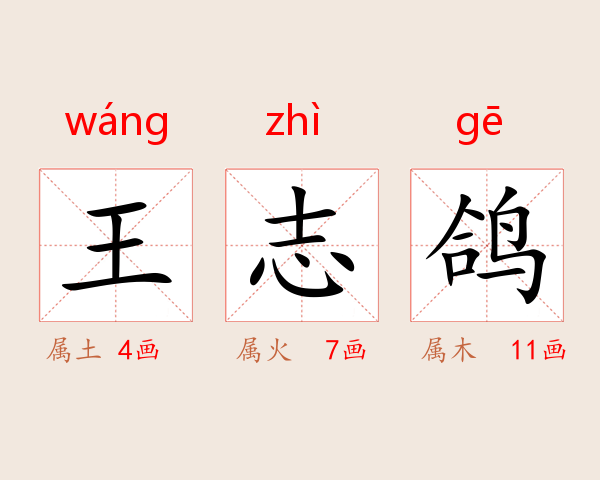 王志鸽