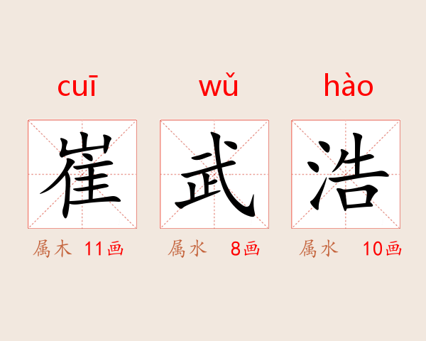 崔武浩