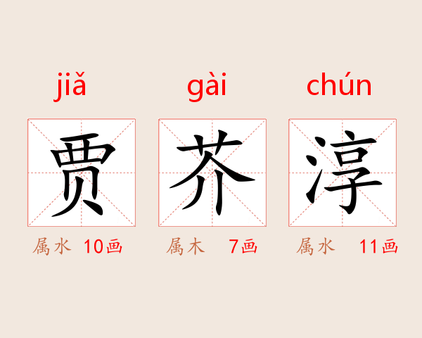 贾芥淳