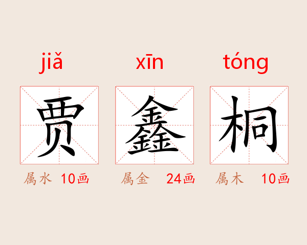 贾鑫桐