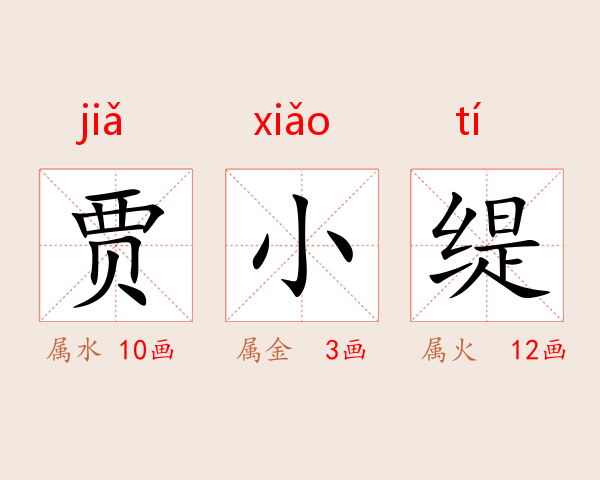 贾小缇