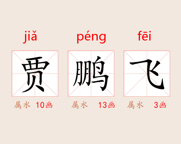 贾鹏飞