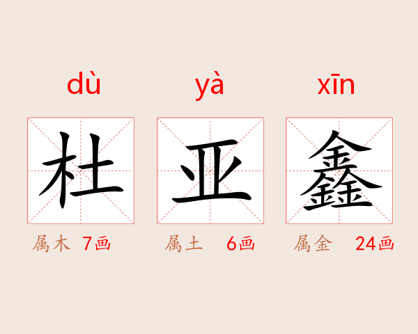 杜亚鑫
