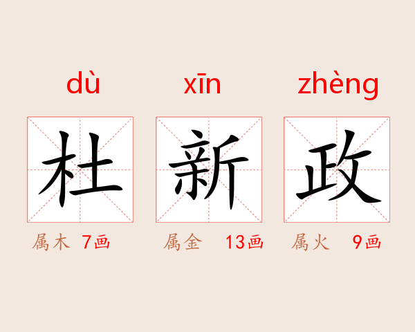 杜新政
