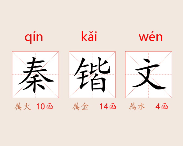 秦锴文