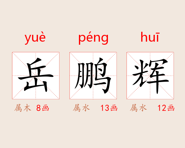 岳鹏辉
