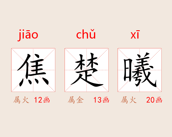 焦楚曦