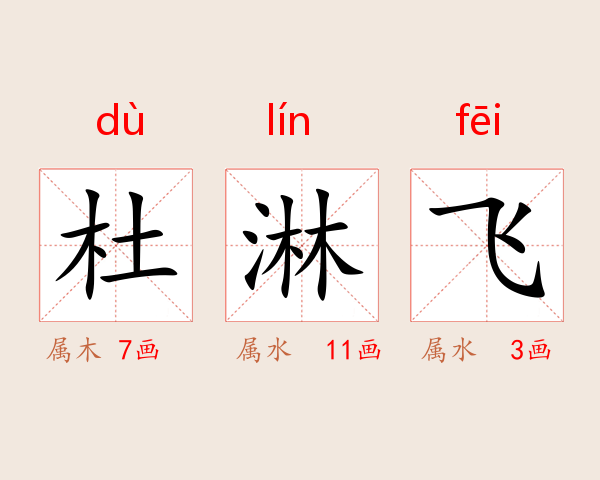 杜淋飞
