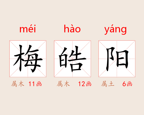 梅皓阳
