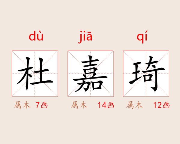杜嘉琦