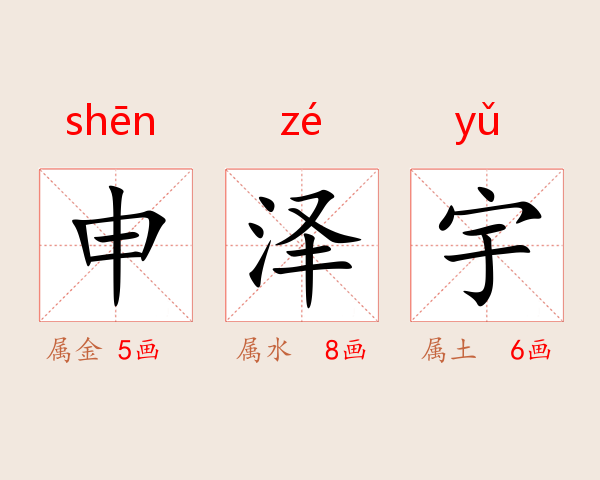 申泽宇