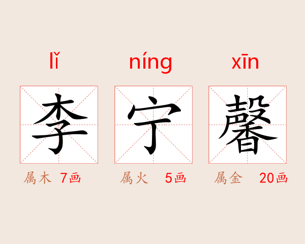 李宁馨