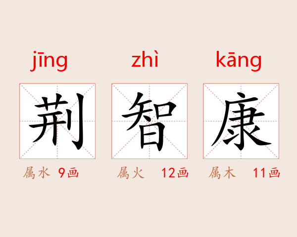 荆智康