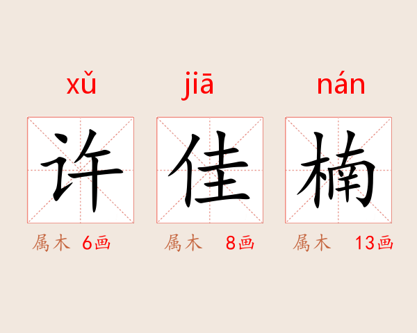 许佳楠