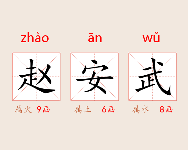 赵安武