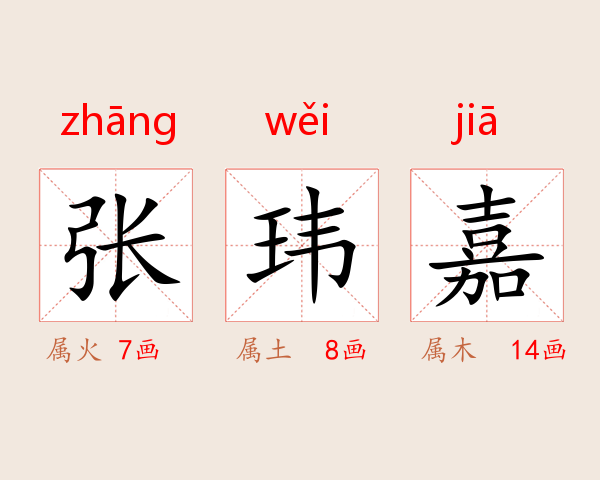 张玮嘉