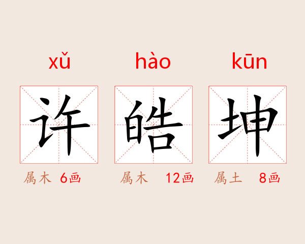 许皓坤