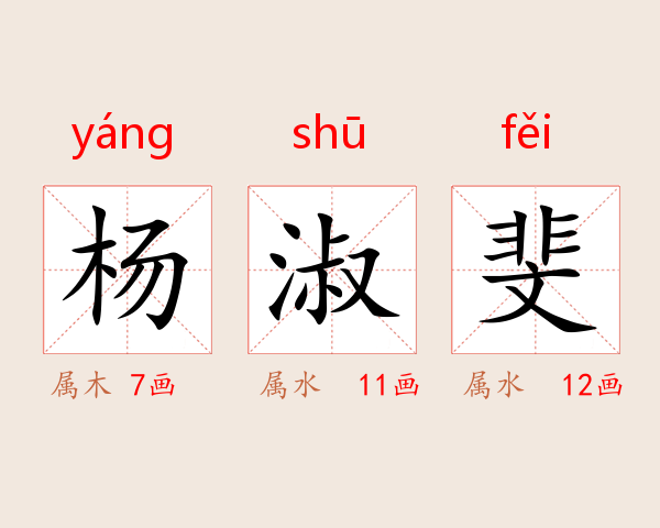 杨淑斐