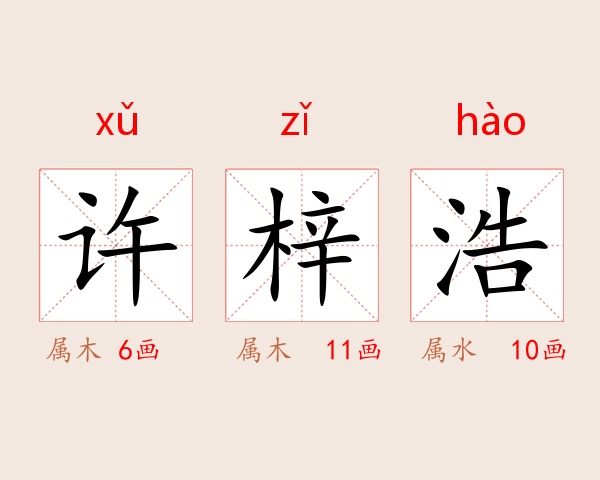 许梓浩