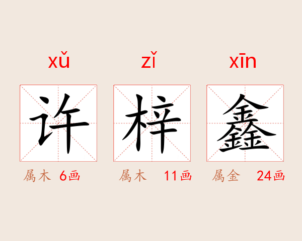 许梓鑫