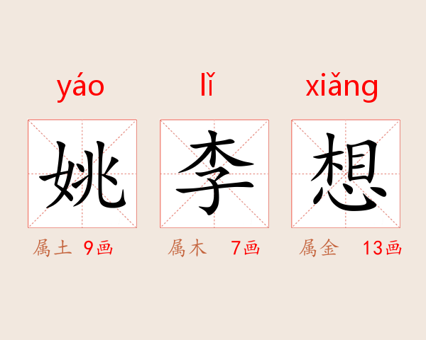 姚李想