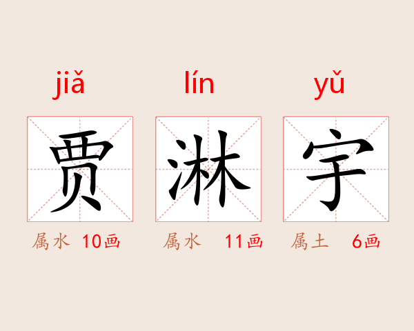贾淋宇