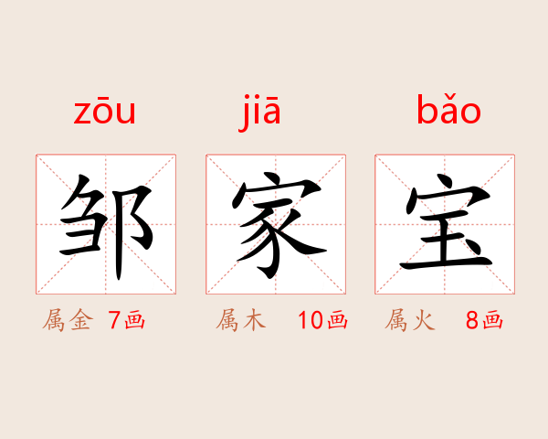 邹家宝