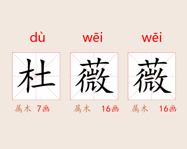 杜薇薇
