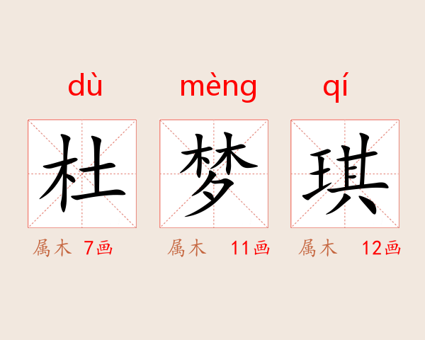 杜梦琪