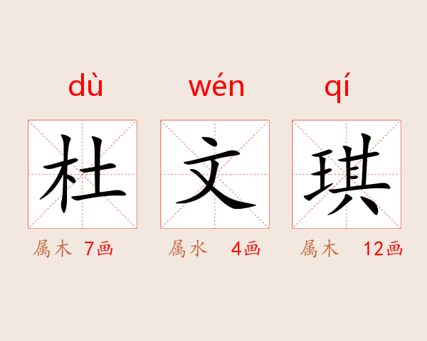 杜文琪