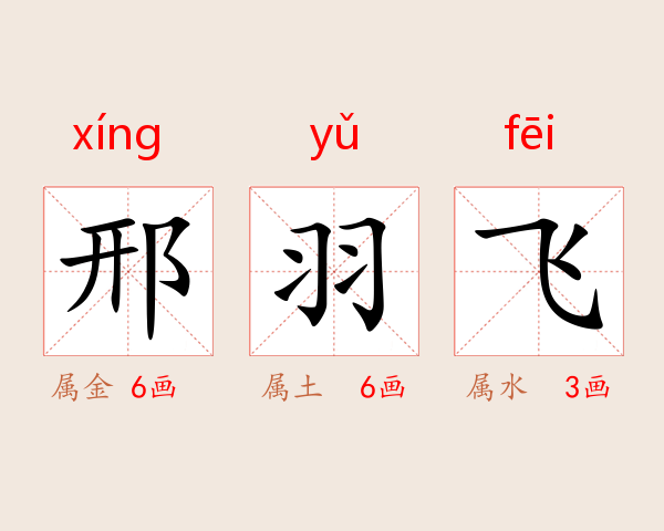 邢羽飞